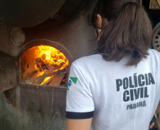 PCPR incinera drogas apreendidas no Verão Maior em Guaratuba