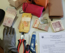  PCPR cumpre mandados de prisão contra idosos suspeitos de furto e de estelionato 
