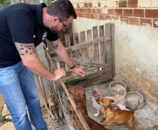 PCPR resgata mais de 50 cães de raça em condições de maus-tratos
