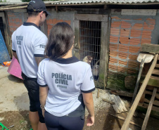 Polícia Civil intensifica trabalhos de investigação e aproximação com a comunidade durante Verão Maior 2019/2020