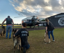 PCPR faz treinamento em aeronaves com cães policiais na Capital