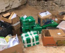 PCPR incinera 200 quilos de droga em Almirante Tamandaré