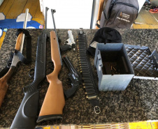 PCPR recupera defensivos agrícolas e apreende armas e veículo roubado em Irati