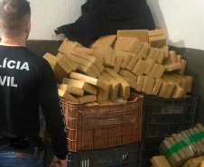  PCPR registra crescimento de 14% na apreensão de drogas em 2019 