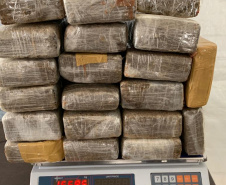  PCPR registra crescimento de 14% na apreensão de drogas em 2019 