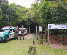 BPAmb-FV termina o Verão Maior com o resgate de 108 animais silvestres, apreensão de 3,2 toneladas de carvão e mais de 13 mil pessoas abordadas