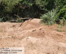  Granja que depositava frangos mortos em área de proteção permanente é autuada em R$ 10 mil pela Polícia Ambiental em Iporã