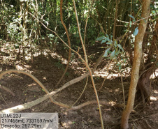  Granja que depositava frangos mortos em área de proteção permanente é autuada em R$ 10 mil pela Polícia Ambiental em Iporã