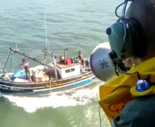 37 toneladas de pescado ilegal são apreendidas no Litoral