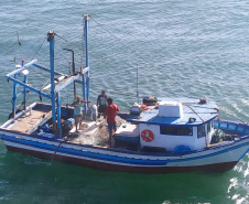  37 toneladas de pescado ilegal são apreendidas no Litoral