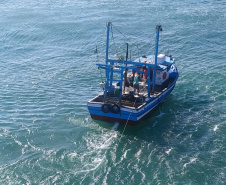  37 toneladas de pescado ilegal são apreendidas no Litoral