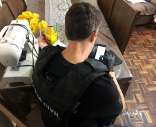 PCPR apura crimes de furto qualificado em shoppings de Curitiba