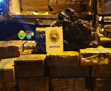BPFron apreende mais de 5,4 toneladas de maconha e duplica apreensões de maconha no primeiro quadrimestre deste ano