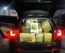 BPFron apreende mais de 5,4 toneladas de maconha e duplica apreensões de maconha no primeiro quadrimestre deste ano