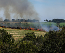 Incêndios ambientais crescem 33% no Paraná no 1.º trimestre