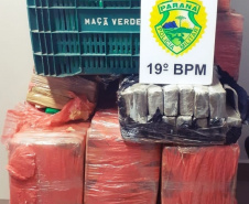 PCPR apreende 712 quilos de maconha e prende suspeitos de tráfico em Toledo 