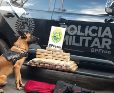 BPFron apreende mais de 5,4 toneladas de maconha e duplica apreensões de maconha no primeiro quadrimestre deste ano