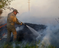 Incêndios ambientais crescem 33% no Paraná no 1.º trimestre