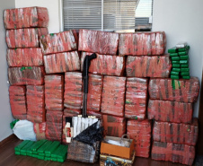  PCPR apreende 712 quilos de maconha e prende suspeitos de tráfico em Toledo 