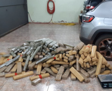 PCPR apreende 389 quilos de maconha em ação integrada com PRF e PCMS