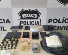 PCPR apreende 389 quilos de maconha em ação integrada com PRF e PCMS