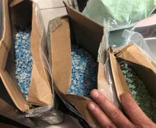 PCPR descobre laboratório de ecstasy e apreende mais de 200 mil comprimidos da droga