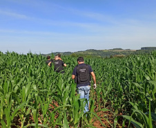 PCPR prende suspeitos de latrocínio contra motorista no Sudoeste do Estado