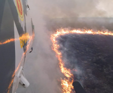 Incêndios ambientais crescem 33% no Paraná no 1.º trimestre