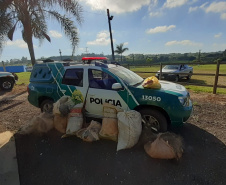  Polícia Ambiental flagra dupla pescando com redes em represa no Norte Pioneiro do estado 