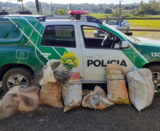  Polícia Ambiental flagra dupla pescando com redes em represa no Norte Pioneiro do estado 