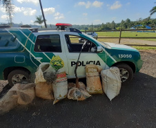  Polícia Ambiental flagra dupla pescando com redes em represa no Norte Pioneiro do estado 