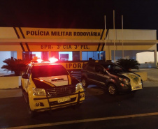 Mais de meia tonelada de maconha e Skank é apreendida pelo BPRv no Noroeste do estado