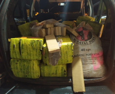 Mais de meia tonelada de maconha e Skank é apreendida pelo BPRv no Noroeste do estado