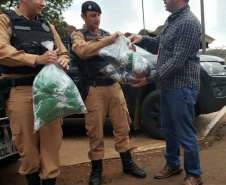  Presos já produziram 69 mil máscaras em menos de um mês