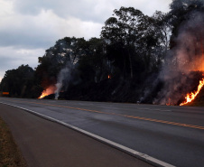 Incêndios ambientais crescem 33% no Paraná no 1.º trimestre