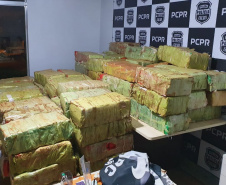 PCPR apreende 3,1 toneladas de maconha no Norte do Estado