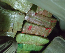 PCPR apreende 3,1 toneladas de maconha no Norte do Estado