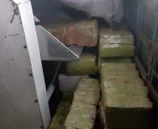 PCPR apreende 3,1 toneladas de maconha no Norte do Estado