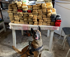 Polícia Militar cumpre 12 mandados judiciais contra o tráfico de drogas no litoral
