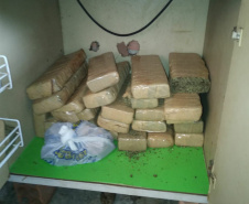 Polícia Militar cumpre 12 mandados judiciais contra o tráfico de drogas no litoral
