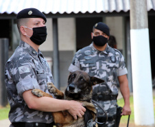  Cães do Bope se aposentam após 9 anos de atuação