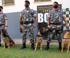  Cães do Bope se aposentam após 9 anos de atuação