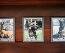  Cães do Bope se aposentam após 9 anos de atuação