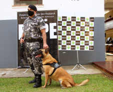  Cães do Bope se aposentam após 9 anos de atuação