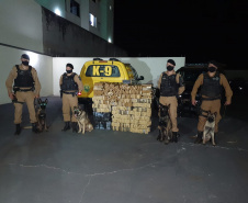 PM prende homem e apreende mais de 350 quilos de maconha em Jussara, no Noroeste do estado