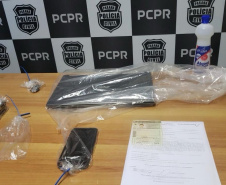 Polícia Civil apoia polícia de São Paulo em ação de combate à pedofilia