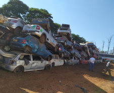  Polícia Civil remove 1,6 mil veículos de pátios em Cascavel
