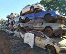  Polícia Civil remove 1,6 mil veículos de pátios em Cascavel