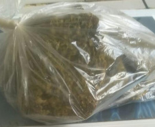 Agentes de Maringá evitam entrada de mais de 500 celulares e 11 quilos de maconha em cinco meses