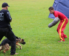  PCPR participa de treinamento integrado de cães policiais em Pato Branco 